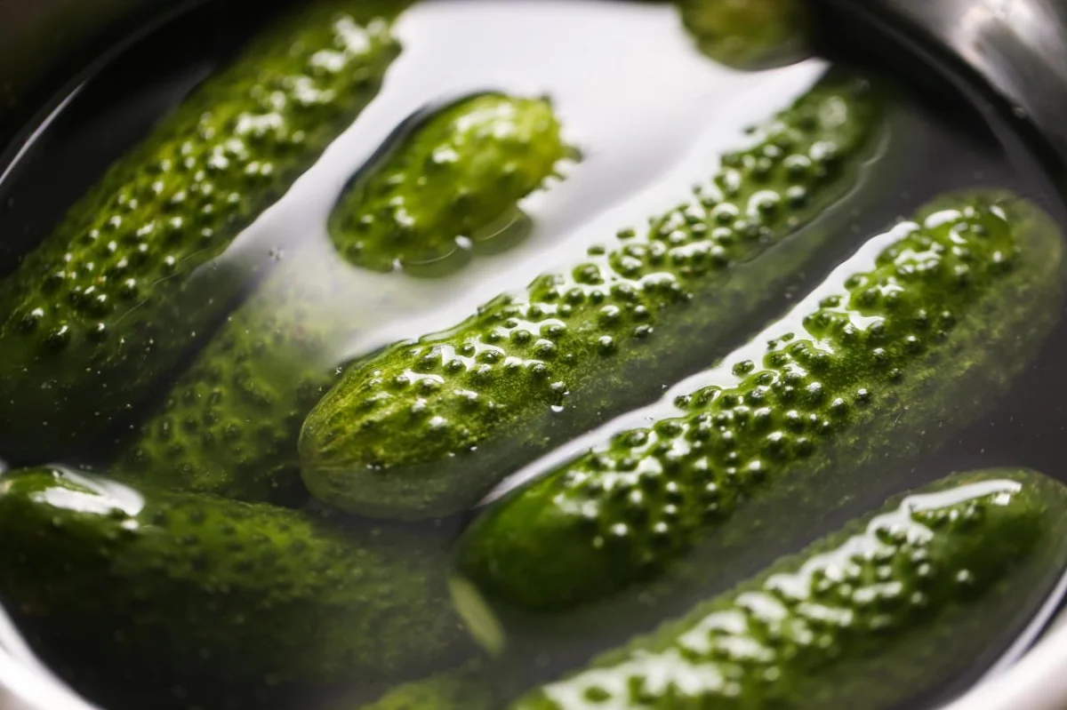 Хрустящие малосольные огурцы: 3 рецепта на любой вкус малосольные огурцы, рецепты, кулинария, закуска, быстро, вкусно