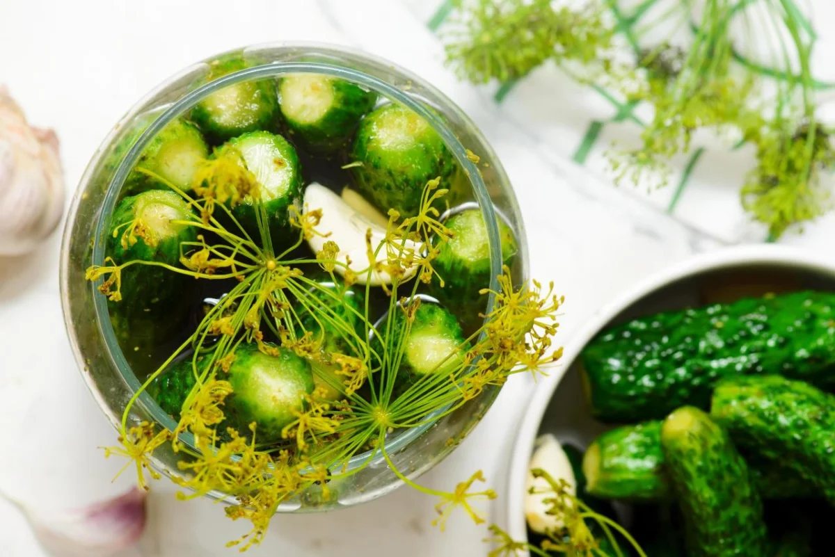 Хрустящие малосольные огурцы: 3 рецепта на любой вкус малосольные огурцы, рецепты, кулинария, закуска, быстро, вкусно