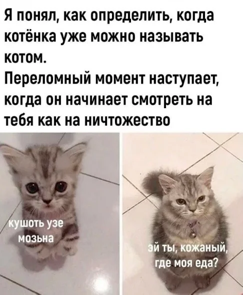 Дожили до пятницы: сборник мемов, чтобы забыть о работе Дожили до пятницы: сборник мемов, чтобы забыть о работе мемы, пятница, приколы, юмор, выходные