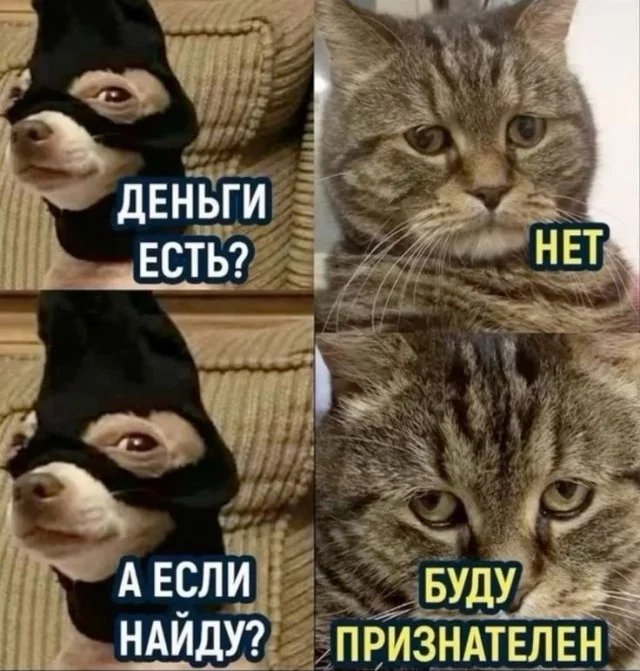 Дожили до пятницы: сборник мемов, чтобы забыть о работе Дожили до пятницы: сборник мемов, чтобы забыть о работе мемы, пятница, приколы, юмор, выходные