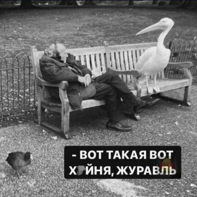 Дожили до пятницы: сборник мемов, чтобы забыть о работе Дожили до пятницы: сборник мемов, чтобы забыть о работе мемы, пятница, приколы, юмор, выходные