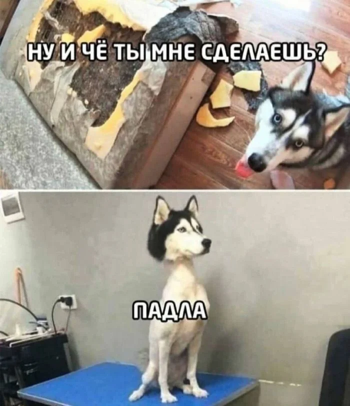 Дожили до пятницы: сборник мемов, чтобы забыть о работе Дожили до пятницы: сборник мемов, чтобы забыть о работе мемы, пятница, приколы, юмор, выходные
