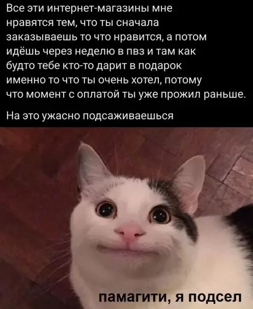 Дожили до пятницы: сборник мемов, чтобы забыть о работе Дожили до пятницы: сборник мемов, чтобы забыть о работе мемы, пятница, приколы, юмор, выходные