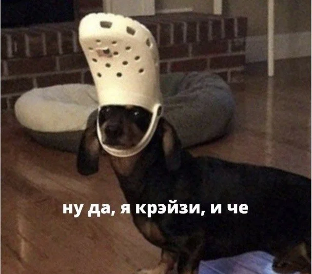 Уныние в отключке: мощная подборка позитива Уныние в отключке: мощная подборка позитива смешное, картинки, прикол, позитив