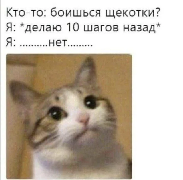 Уныние в отключке: мощная подборка позитива Уныние в отключке: мощная подборка позитива смешное, картинки, прикол, позитив