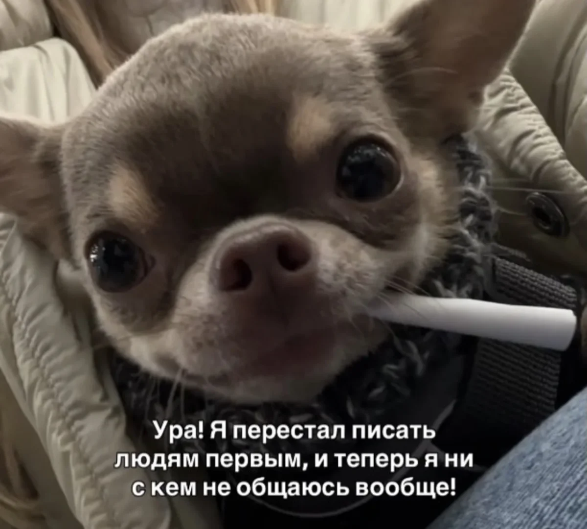 Пятничный юмор: мемы, которые не требуют объяснений мемы, приколы, пятница, настроение, картинки