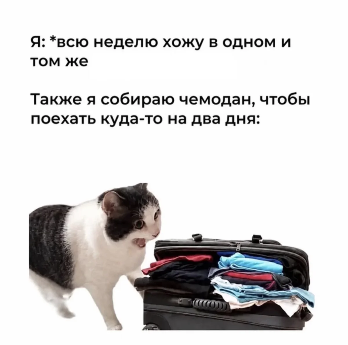 Пятничный юмор: мемы, которые не требуют объяснений мемы, приколы, пятница, настроение, картинки
