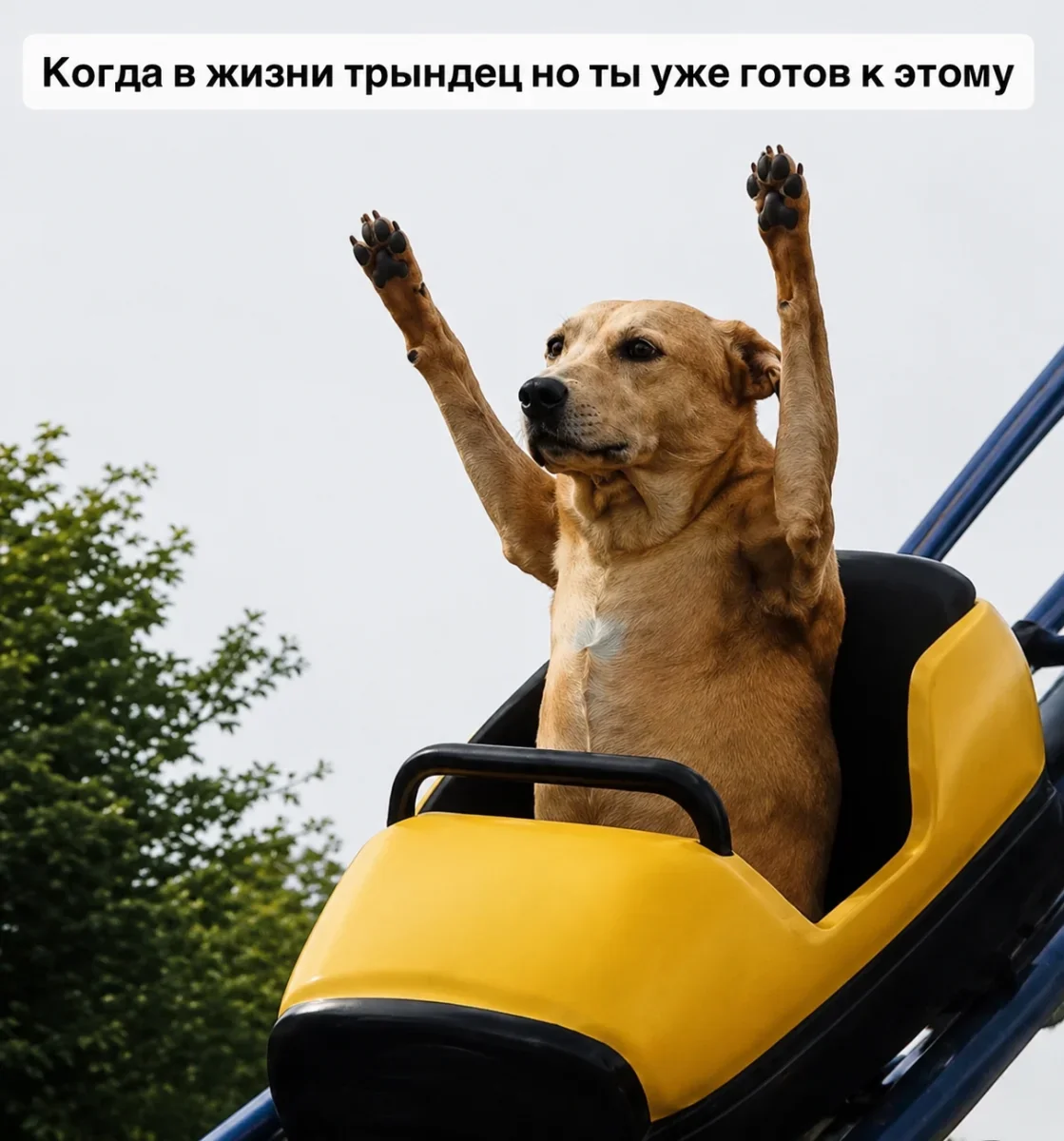 Пятничный юмор: мемы, которые не требуют объяснений мемы, приколы, пятница, настроение, картинки