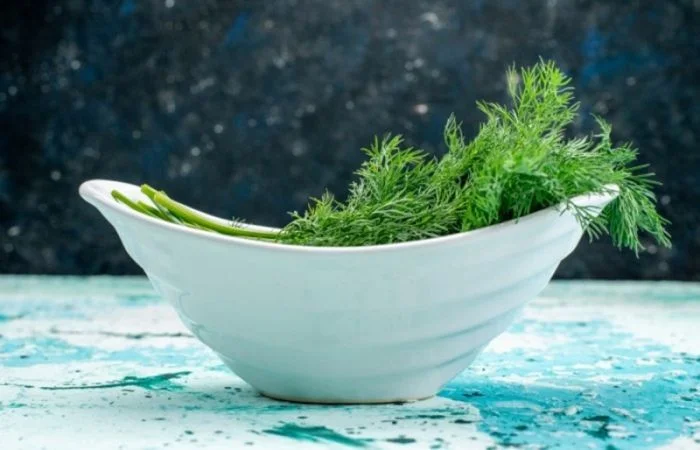 Укропная лихорадка: как простая зелень стала символом русской кухни укроп, русская кухня, история, традиции, еда, интересные факты, культура, дача