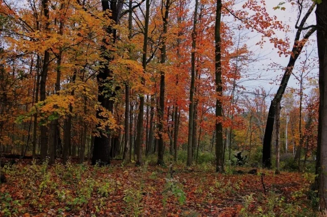 Пейзажи, которые хочется рассматривать часами пейзажи, фотография, природа, архитектура