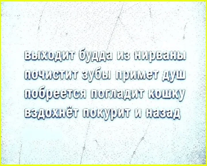 Гуманитарии и любовь: 14 мемов про брак без выгоды мемы,гуманитарии,брак,любовь