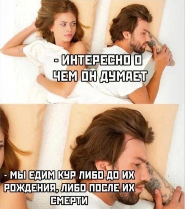15 мемов, от которых вы порвёте животик мемы, приколы, юмор, подборка, картинки