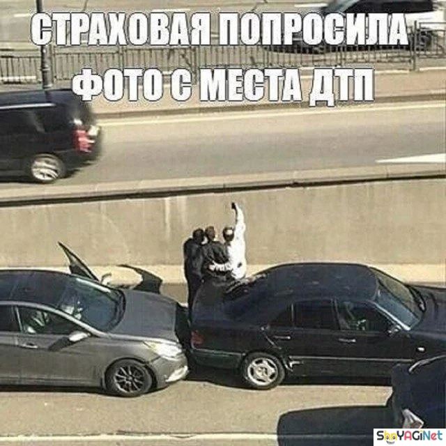 Улыбнись! Эта подборка картинок развеселит кого угодно приколы, юмор, смехотерапия, картинки, позитив