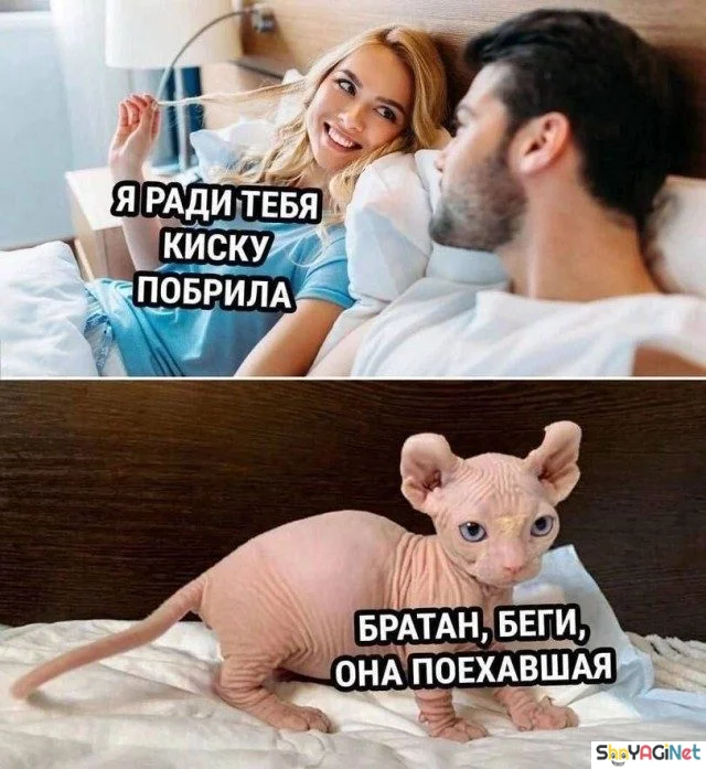 Улыбнись! Эта подборка картинок развеселит кого угодно приколы, юмор, смехотерапия, картинки, позитив
