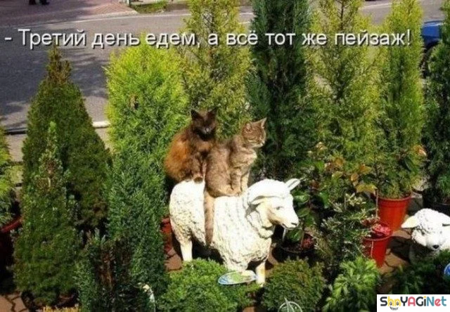 Улыбнись! Эта подборка картинок развеселит кого угодно приколы, юмор, смехотерапия, картинки, позитив