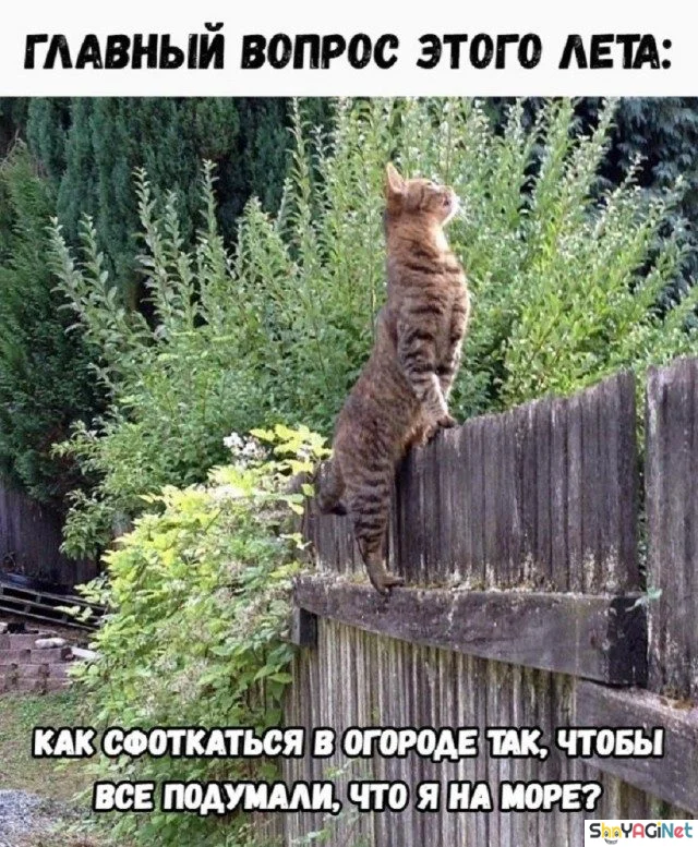 Улыбнись! Эта подборка картинок развеселит кого угодно приколы, юмор, смехотерапия, картинки, позитив