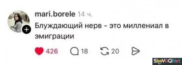 Смешные комментарии из соцсетей: ТОП-25 скриншотов комментарии, приколы, соцсети, юмор, переписки