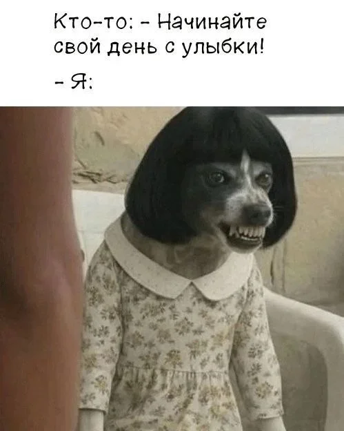Подборка мемов для хмурого вторника