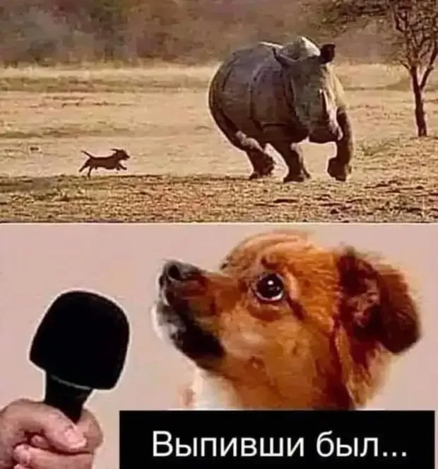 Ямочный ремонт, евнух и палка вместо игрушек: анекдоты дня