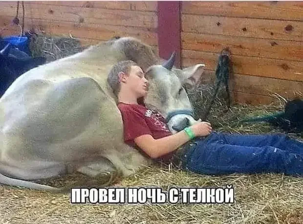 Сборник базовых жизненных мемов юмор, приколы, анекдоты, картинки, смешное