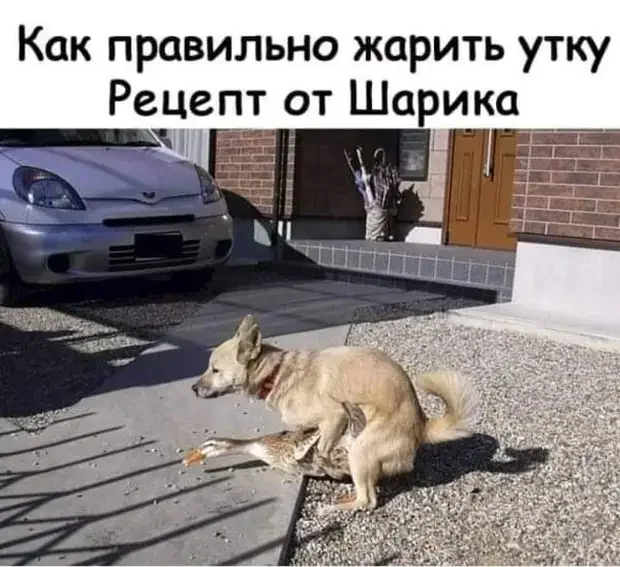 Сборник базовых жизненных мемов юмор, приколы, анекдоты, картинки, смешное
