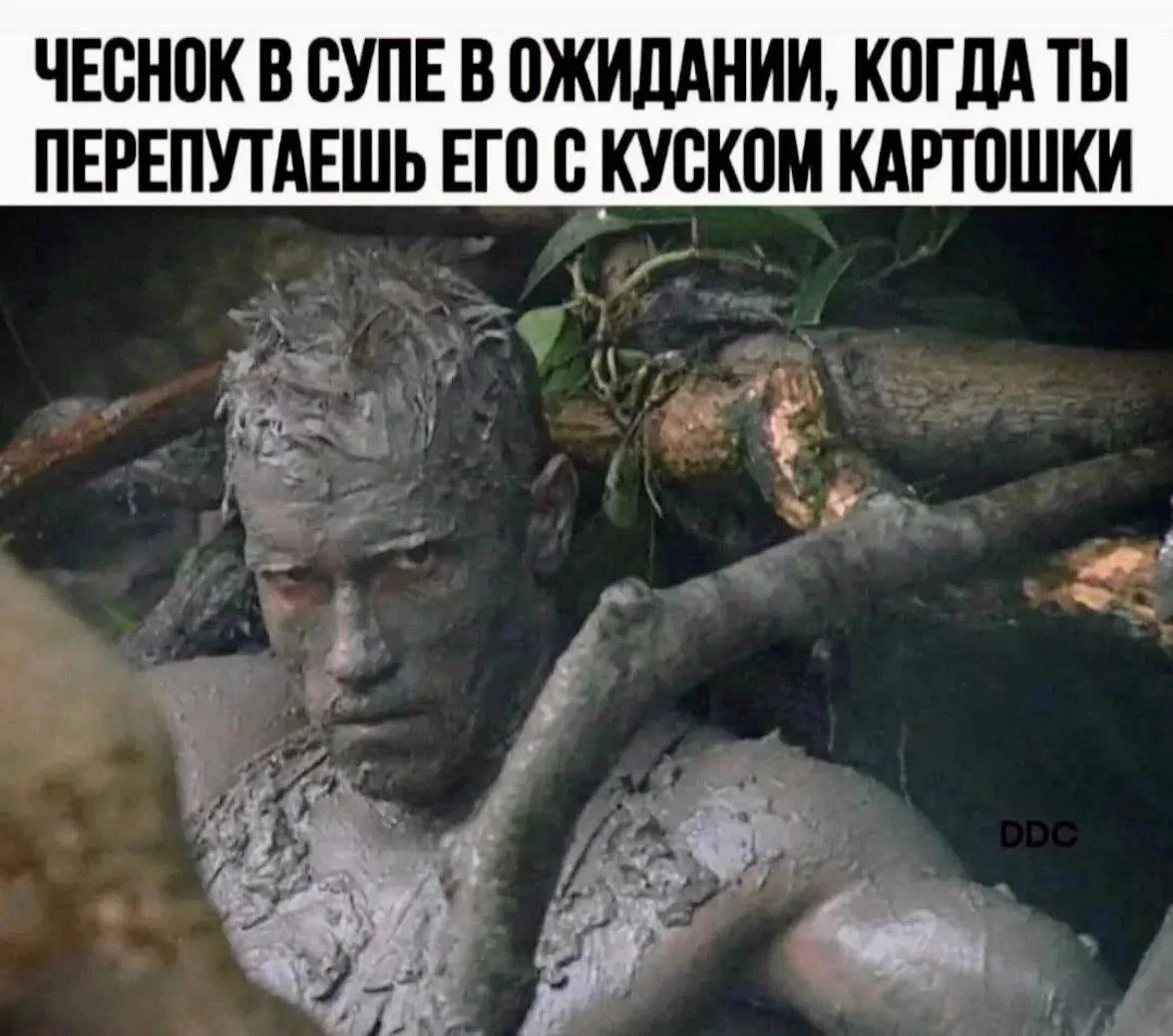 Железному Арни — 79: угарная подборка мемов и картинок Железному Арни — 79: угарная подборка мемов и картинок Шварценеггер, мемы, приколы, день рождения, терминатор