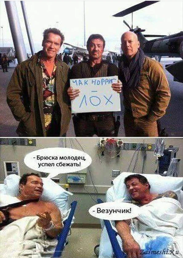 Железному Арни — 79: угарная подборка мемов и картинок Железному Арни — 79: угарная подборка мемов и картинок Шварценеггер, мемы, приколы, день рождения, терминатор
