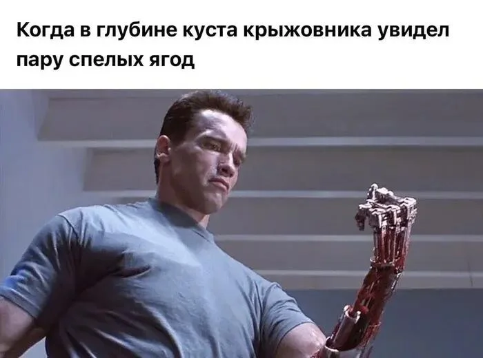 Железному Арни — 79: угарная подборка мемов и картинок Железному Арни — 79: угарная подборка мемов и картинок Шварценеггер, мемы, приколы, день рождения, терминатор