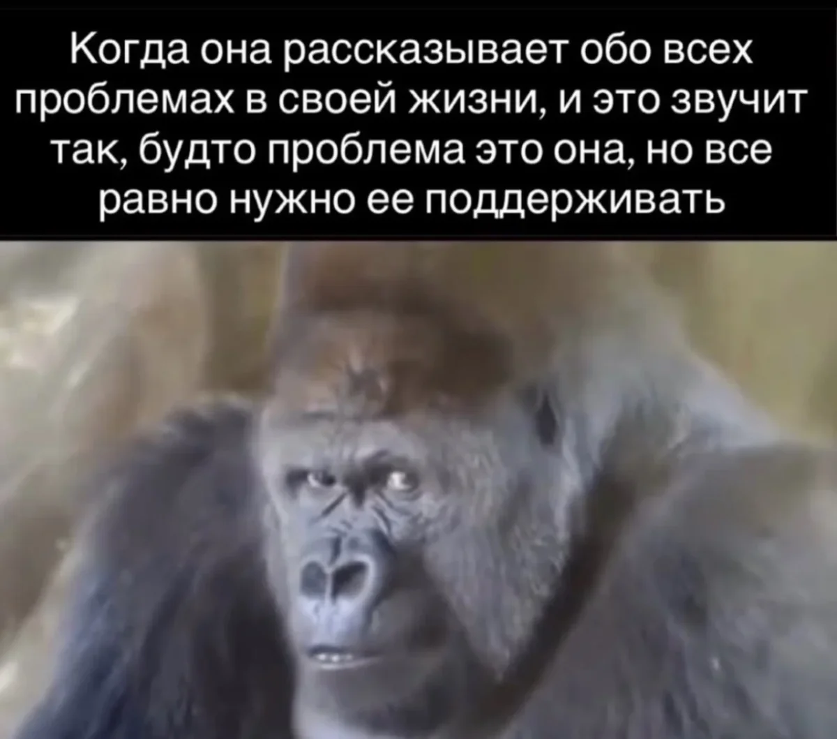 Шарф из лосося и 20+ мемов: юмор дня юмор,мемы,приколы,смешные картинки