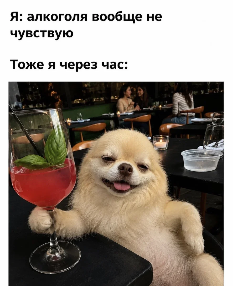 Шарф из лосося и 20+ мемов: юмор дня юмор,мемы,приколы,смешные картинки