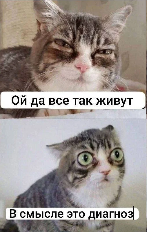 Пятничный заряд смеха: лучшие мемы недели Пятничный заряд смеха: лучшие мемы недели мемы, пятница, приколы, юмор, подборка