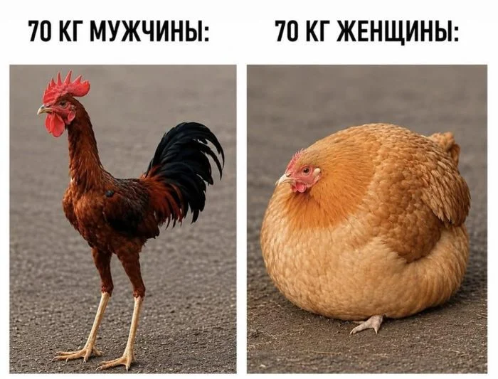 Пятничный заряд смеха: лучшие мемы недели Пятничный заряд смеха: лучшие мемы недели мемы, пятница, приколы, юмор, подборка