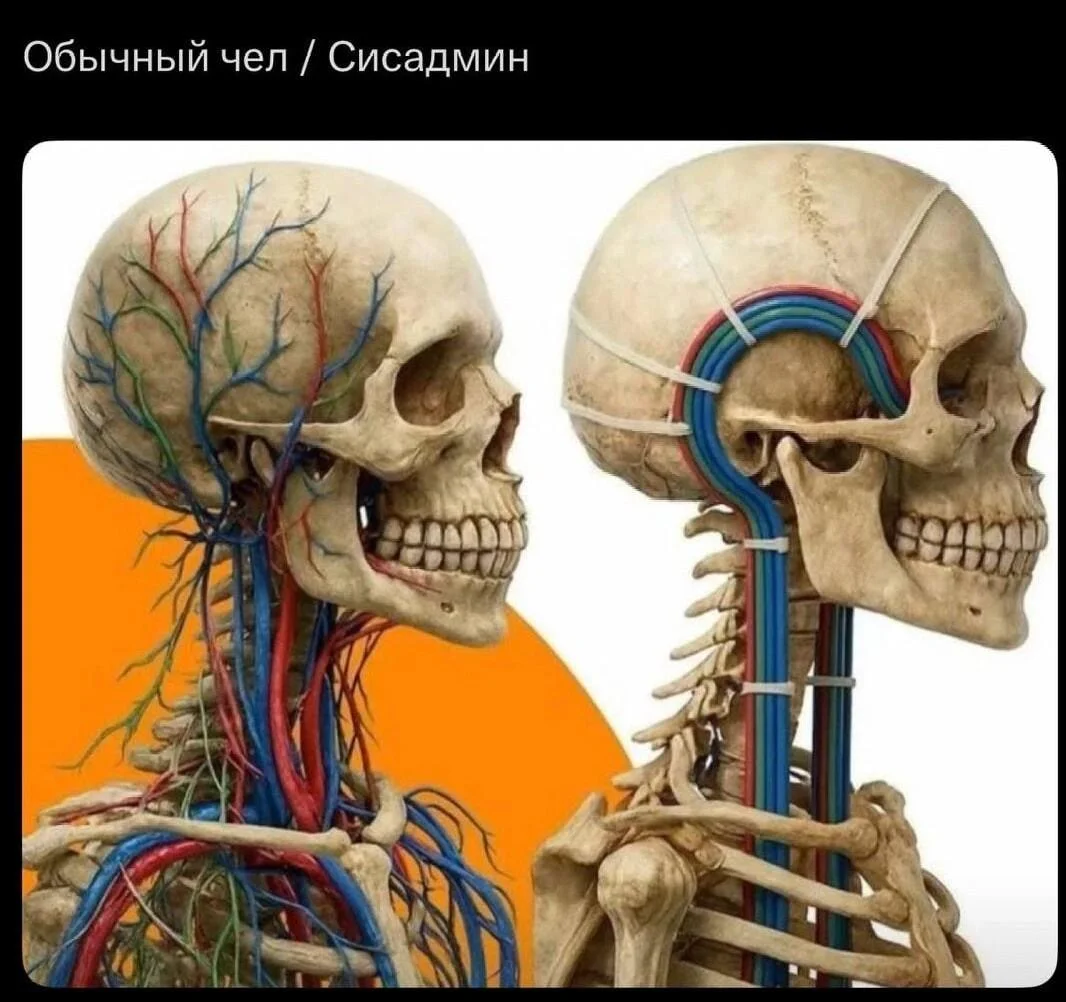 Сисадмины в мемах: праздник и смех мемы, сисадмин, день сисадмина, приколы, картинки, IT, подборка, праздник
