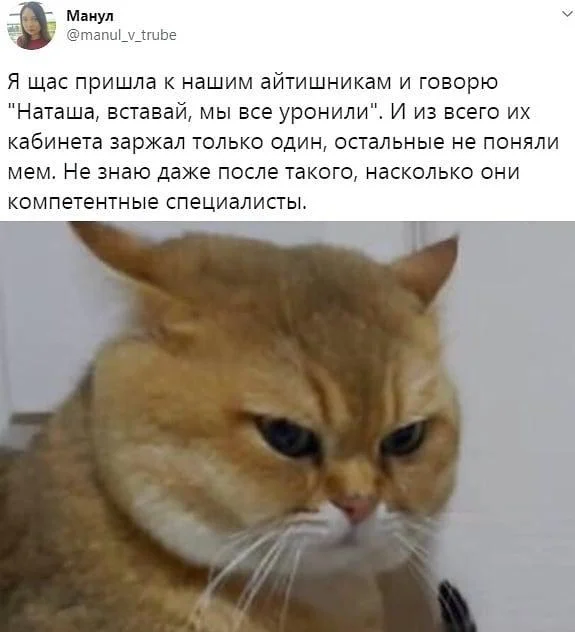 Сисадмины в мемах: праздник и смех мемы, сисадмин, день сисадмина, приколы, картинки, IT, подборка, праздник