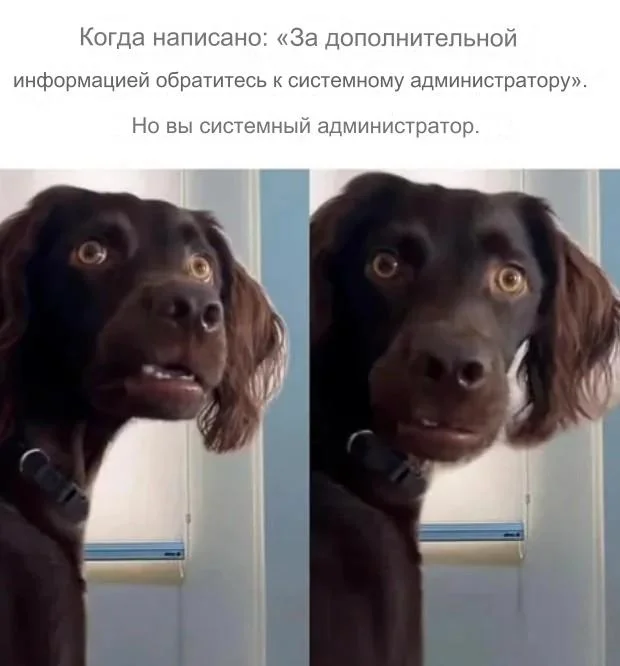 Сисадмины в мемах: праздник и смех мемы, сисадмин, день сисадмина, приколы, картинки, IT, подборка, праздник