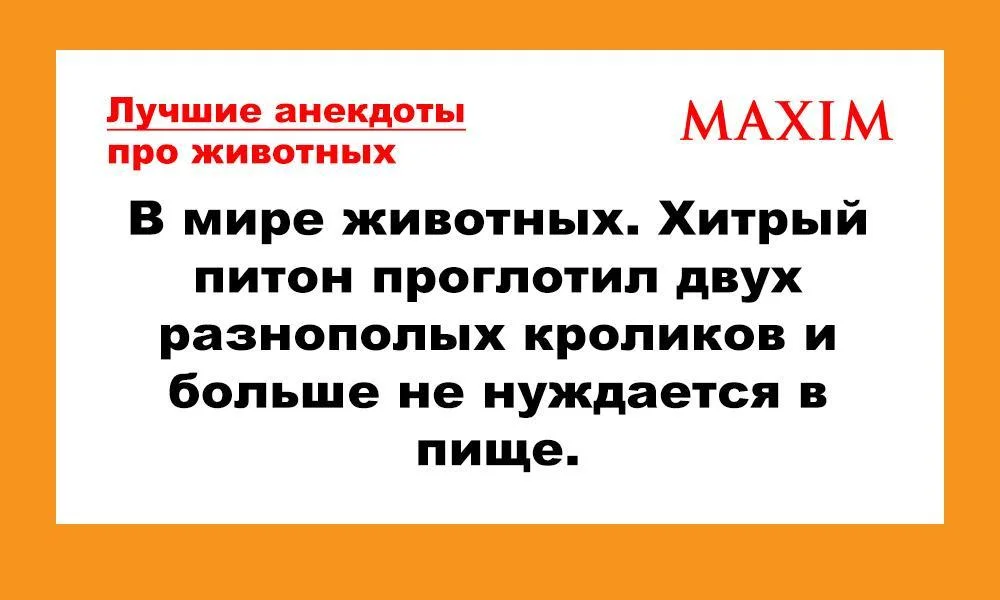 Смех до слёз: лучшие анекдоты месяца Смех до слёз: лучшие анекдоты месяца анекдоты, юмор, подборка, июль 2026, смешное