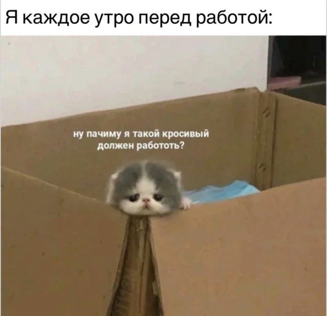 Мемы для уютного вечера