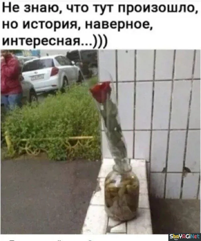 Свежие приколы для хорошего настроения Свежие приколы для хорошего настроения приколы, картинки, мемы, юмор, подборка