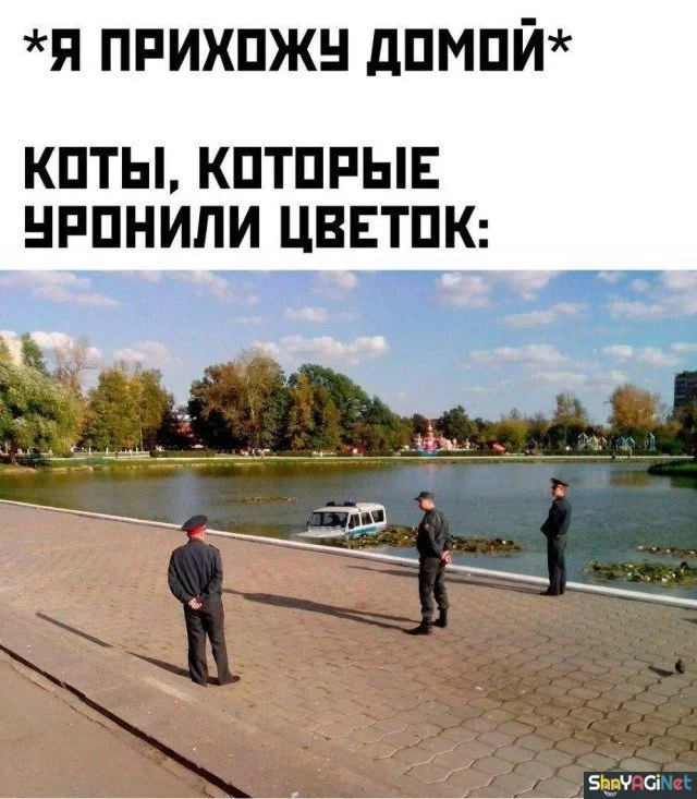 Свежие приколы для хорошего настроения Свежие приколы для хорошего настроения приколы, картинки, мемы, юмор, подборка