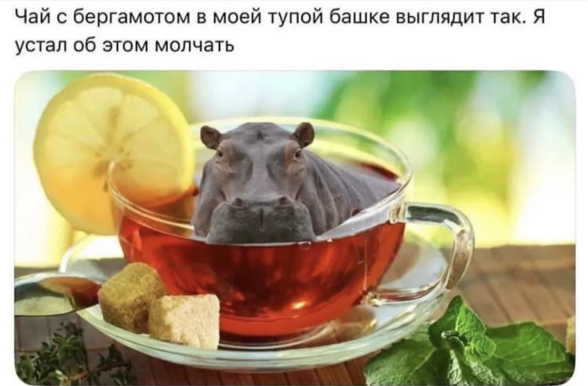Смех до боли в животе: убойная порция мемов