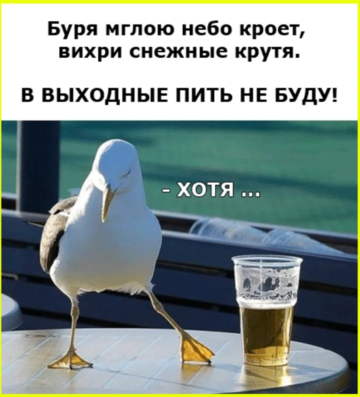 Первые ласточки бизнеса на новой трассе