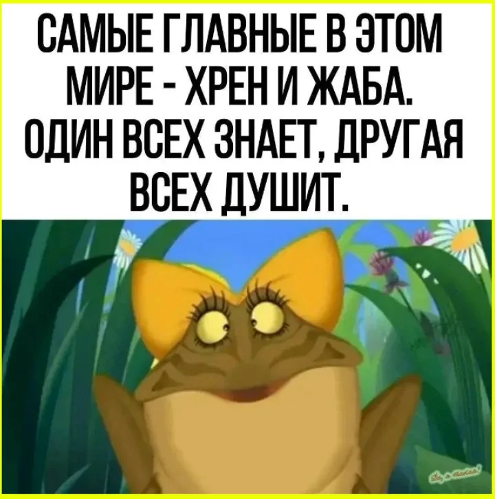 Первые ласточки бизнеса на новой трассе Первые ласточки бизнеса на новой трассе бизнес, дорога, инфраструктура