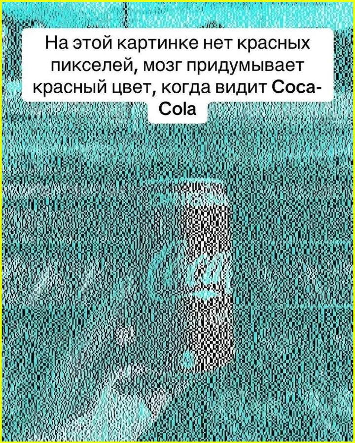 Первые ласточки бизнеса на новой трассе бизнес, дорога, инфраструктура