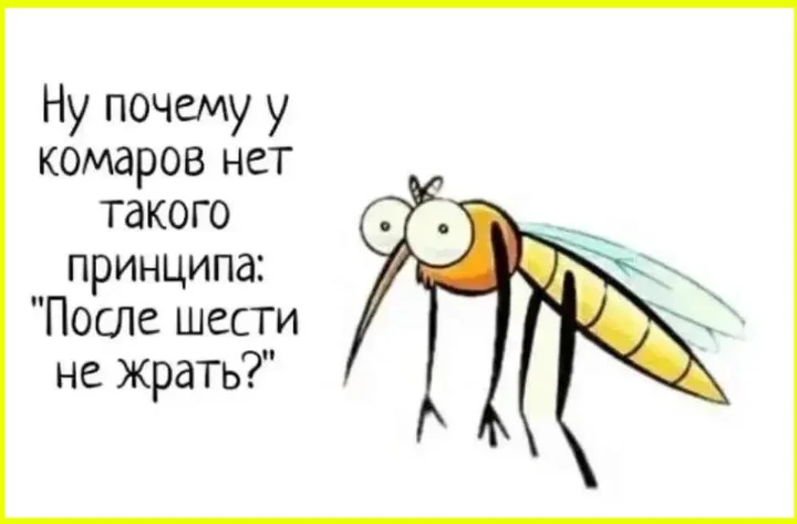Первые ласточки бизнеса на новой трассе Первые ласточки бизнеса на новой трассе бизнес, дорога, инфраструктура