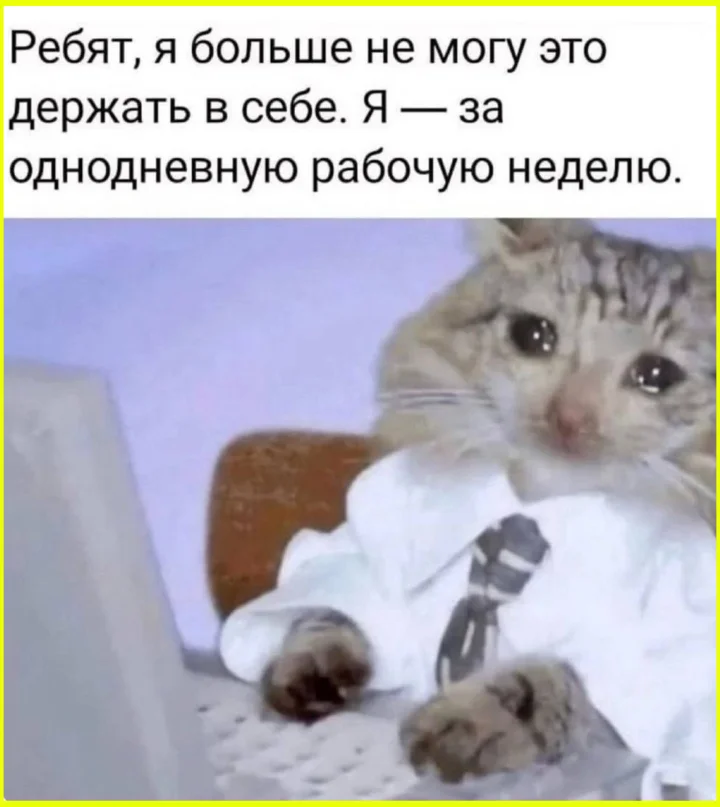 Гениальный план: как не идти в армию, оставшись в школе навечно Гениальный план: как не идти в армию, оставшись в школе навечно приколы, армия, школа, мемы, подборка