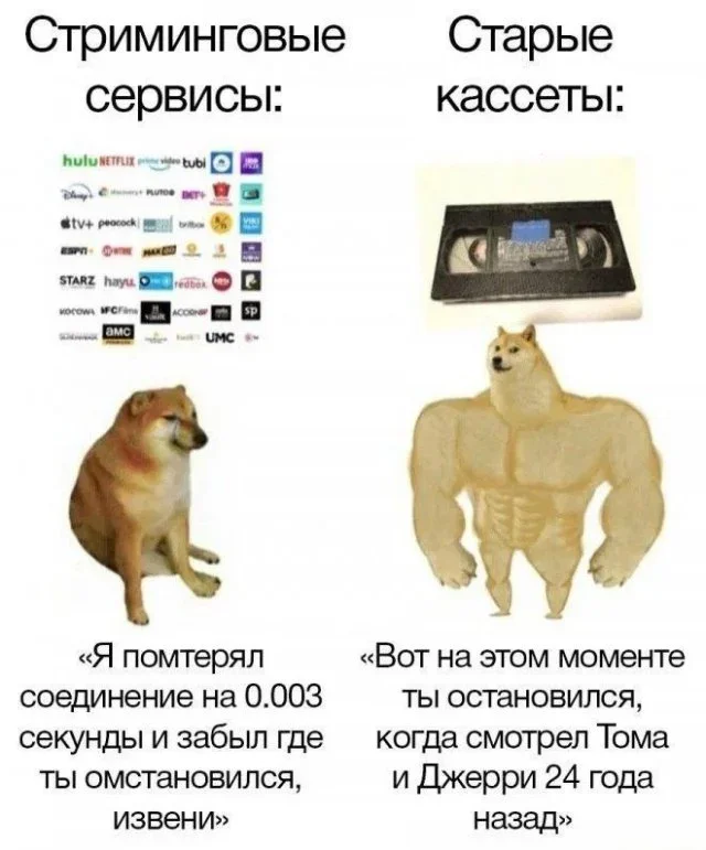 Субботний юмор: от тревожной Алисы до скучающего Хауса мемы, приколы, юмор, картинки, интернет