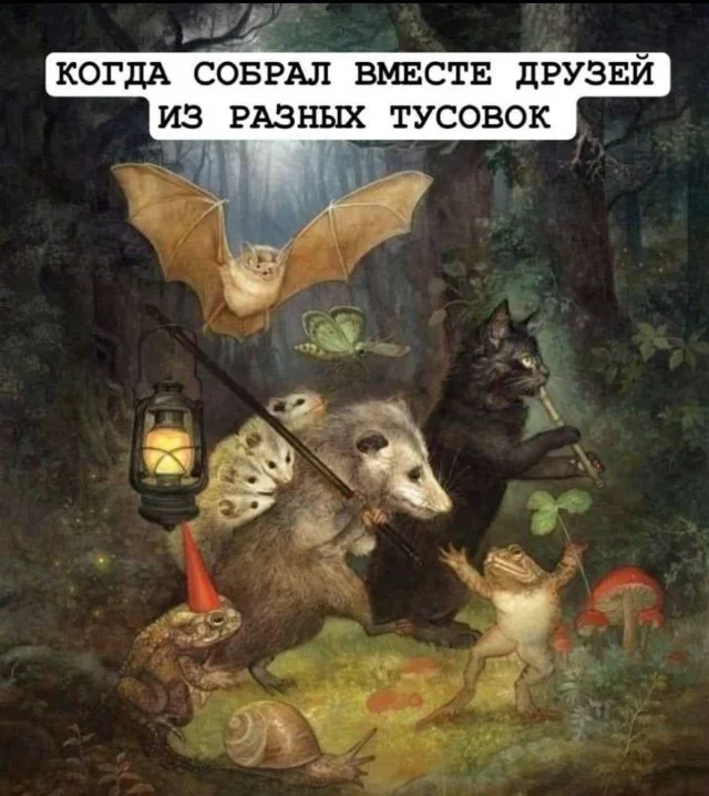 Субботний юмор: от тревожной Алисы до скучающего Хауса мемы, приколы, юмор, картинки, интернет