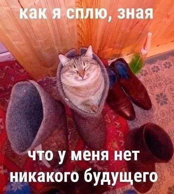 Субботний юмор: от тревожной Алисы до скучающего Хауса мемы, приколы, юмор, картинки, интернет