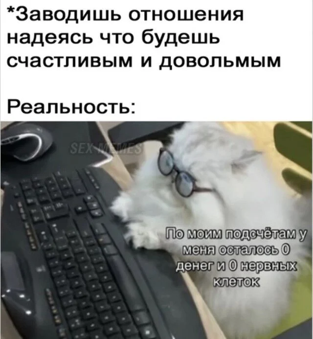 Свежие мемы для хорошего дня мемы, приколы, юмор, подборка