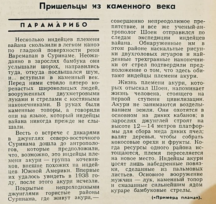 Встреча с каменным веком: племя, которое время обошло стороной племя акури, суринам, джунгли, антропология, открытие, изолированное племя, каменный век